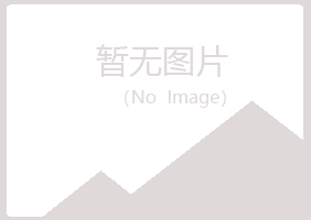 陕西夏岚咨询有限公司